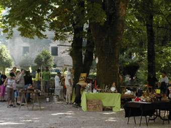 artpark.jpg